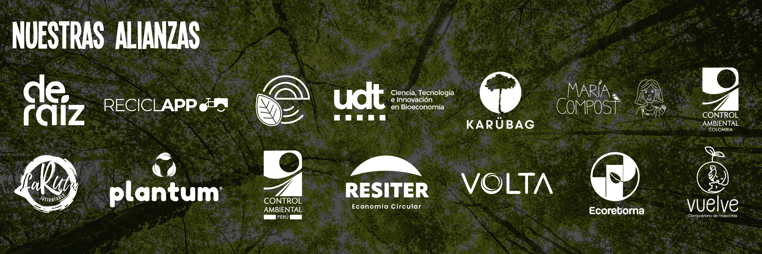 BANNER NUESTRAS ALIANZAS-04 (1) (1)